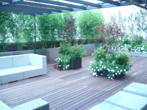 Manutenzione del verde Giardini Terrazzi Arboricoltura Irrigazione Progettazione