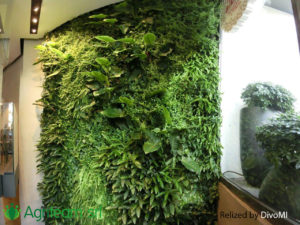 Agriteam srl Manutenzione del Verde Giardini Terrazzi Arboricoltura Irrigazione