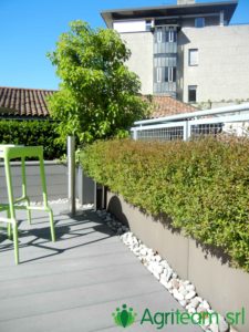 Agriteam srl Manutenzione del Verde Giardini Terrazzi Arboricoltura Irrigazione