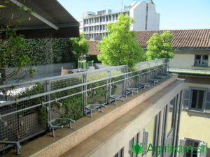 Agriteam srl Manutenzione del Verde Giardini Terrazzi Arboricoltura Irrigazione