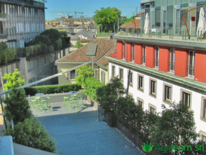 Agriteam srl Manutenzione del Verde Giardini Terrazzi Arboricoltura Irrigazione