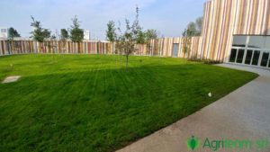 Agriteam srl Manutenzione del Verde Giardini Terrazzi Arboricoltura Irrigazione
