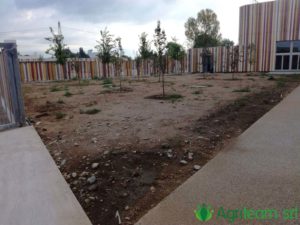 Agriteam srl Manutenzione del Verde Giardini Terrazzi Arboricoltura Irrigazione