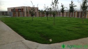 Agriteam srl Manutenzione del Verde Giardini Terrazzi Arboricoltura Irrigazione
