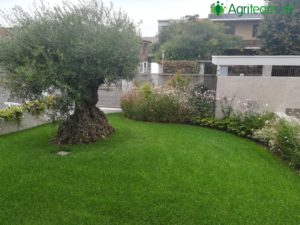 agriteam srl giardinieri milano manutenzione giardini terrazzi arboricoltura irrigazione