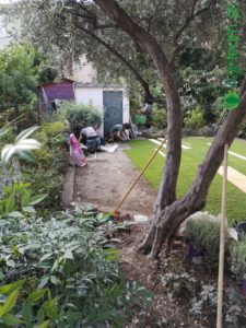 agriteam srl giardinieri milano manutenzione giardini terrazzi arboricoltura irrigazione