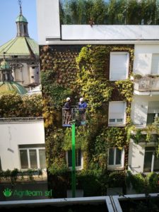 Agriteam srl Manutenzione del Verde Giardini Terrazzi Arboricoltura Irrigazione