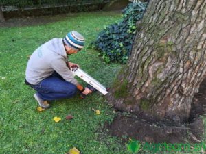 Agriteam srl Manutenzione del Verde Giardini Terrazzi Arboricoltura Irrigazione