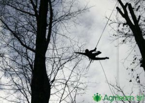 Agriteam srl Manutenzione del Verde Giardini Terrazzi Arboricoltura Irrigazione