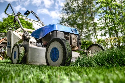 Manutenzione del verde Giardini Terrazzi Arboricoltura Irrigazione Progettazione