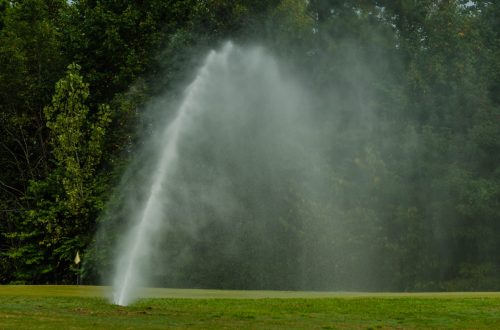 Manutenzione del verde Giardini Terrazzi Arboricoltura Irrigazione Progettazione